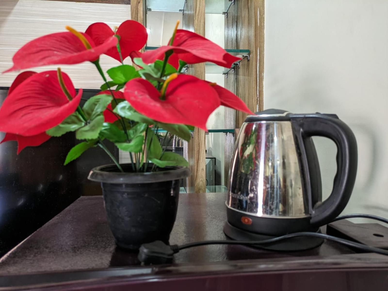Vijayanagara Home Stay 亨比 外观 照片